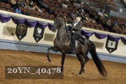 20YN_40478 thumbnail