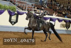 20YN_40479 thumbnail