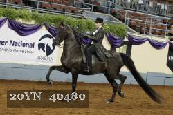 20YN_40480 thumbnail