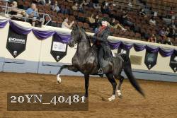 20YN_40481 thumbnail