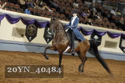 20YN_40484 thumbnail
