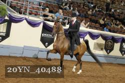 20YN_40488 thumbnail