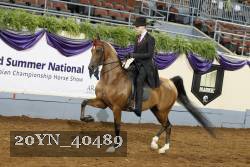 20YN_40489 thumbnail