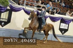 20YN_40493 thumbnail