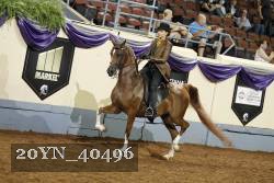 20YN_40496 thumbnail
