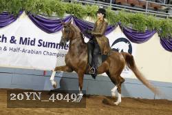 20YN_40497 thumbnail