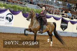 20YN_40500 thumbnail