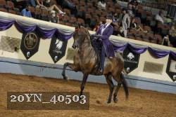 20YN_40503 thumbnail