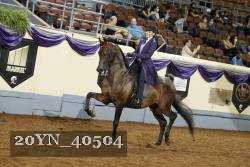 20YN_40504 thumbnail