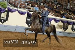 20YN_40507 thumbnail