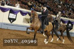 20YN_40509 thumbnail