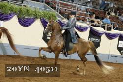 20YN_40511 thumbnail