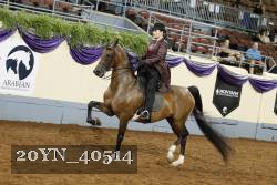 20YN_40514 thumbnail