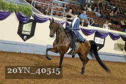 20YN_40515 thumbnail