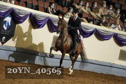 20YN_40565 thumbnail