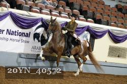 20YN_40572 thumbnail