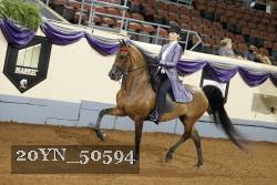 20YN_50594 thumbnail