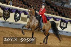 20YN_50598 thumbnail