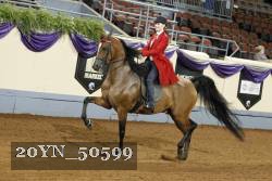 20YN_50599 thumbnail