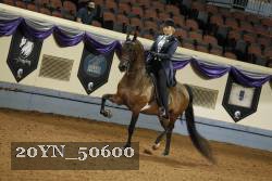20YN_50600 thumbnail