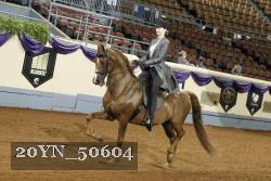 20YN_50604 thumbnail