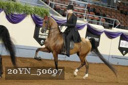 20YN_50607 thumbnail