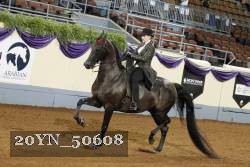 20YN_50608 thumbnail