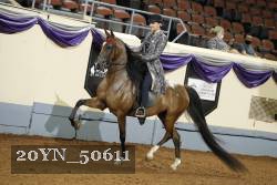 20YN_50611 thumbnail