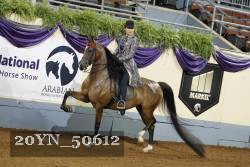 20YN_50612 thumbnail