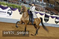 20YN_50616 thumbnail