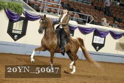 20YN_50617 thumbnail