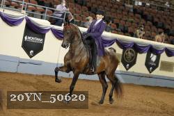 20YN_50620 thumbnail