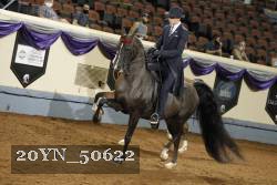 20YN_50622 thumbnail