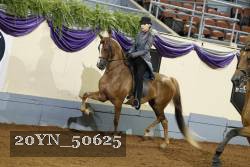 20YN_50625 thumbnail