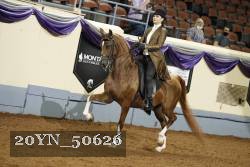 20YN_50626 thumbnail