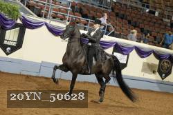 20YN_50628 thumbnail