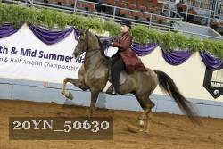 20YN_50630 thumbnail