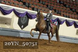 20YN_50751 thumbnail