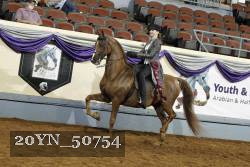 20YN_50754 thumbnail