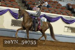 20YN_50755 thumbnail