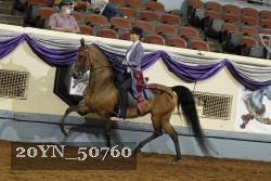 20YN_50760 thumbnail
