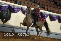 20YN_50761 thumbnail