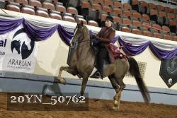 20YN_50762 thumbnail