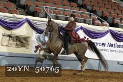 20YN_50765 thumbnail