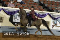 20YN_50766 thumbnail