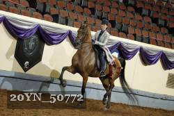 20YN_50772 thumbnail