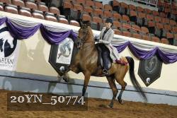 20YN_50774 thumbnail
