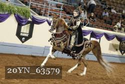 20YN_63579 thumbnail