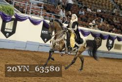 20YN_63580 thumbnail