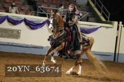 20YN_63674 thumbnail